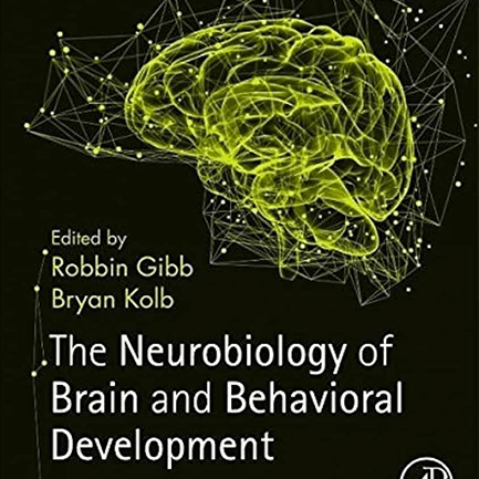 the-neurobiology-of-brain-and-behavioral-development