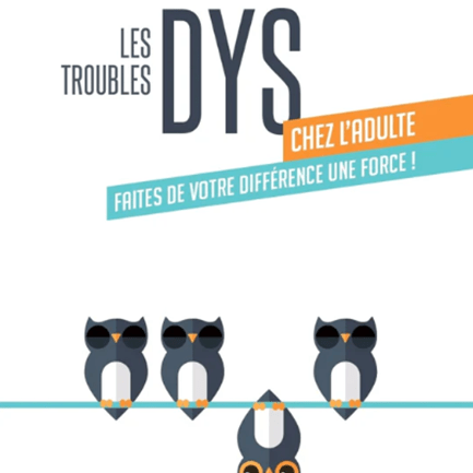 2022-livre-dys-adulte