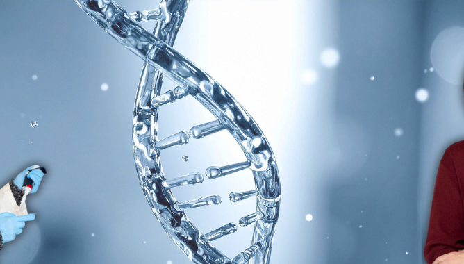 Identification d’un nouveau gène impliqué dans les TND : DDX17